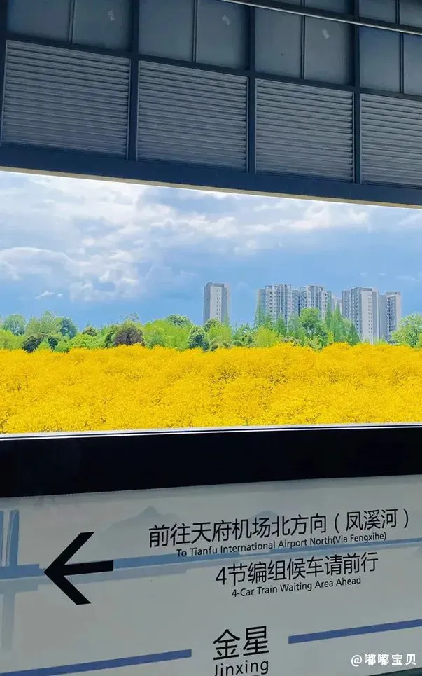 为什么篮球教练要不断改进训练方法_0